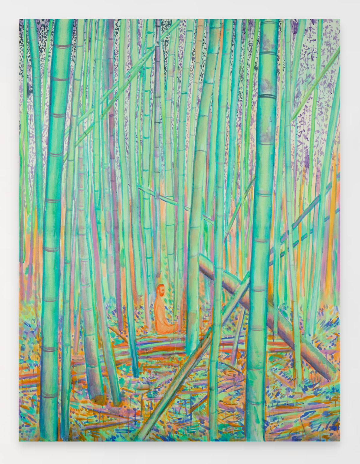 space observation unit